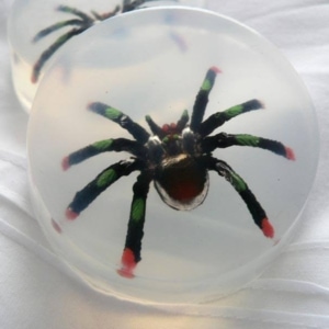 Spider Soaps